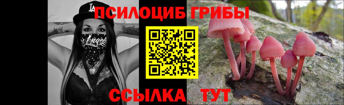 Галлюциногенные грибы MAGIC MUSHROOMS  сколько стоит  Назрань  Вход с VPN 